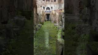 El Coliseo 🏛 Un Monumento Histórico de Roma Italia [upl. by Leontine]