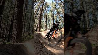 Weekend Laps Christchurch Adventure Park NZ mtb mountainbiking mountainbike nzmtb commencal [upl. by Aurelia]