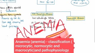 Anaemia anemia  classification microcytic normocytic and macrocytic and pathophysiology [upl. by Nel418]