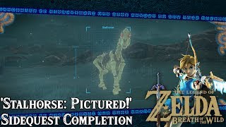 Stalhorse Pictured Sidequest  The Legend of Zelda Breath of the Wild  Tips amp Tricks [upl. by Bryant]