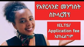 How to Apply for Ireland Government Postgraduate Scholarship 2025Ethiopian Applicant [upl. by Colpin]