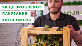 ЯК ЦЕ ЗРОБЛЕНО  Пакування крупномірів для відправлення поштою  AgroMarketua [upl. by Nylsej]