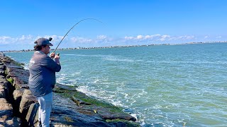 Do This to Catch EASY Limits  Surfside Texas [upl. by Nnayram]