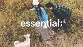 Playlist 가을아 오래 머물러줘  달콤쌉싸름한 가을빛 팝송 with 한섬닷컴  autumn mood pop🍁 [upl. by Stiegler]