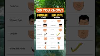 Dominant gene vs Recessive gene [upl. by Winna63]