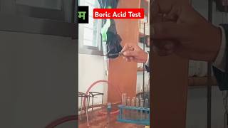 Boric Acid Test Chemistry Experiment By Mk sir short youtube vedio [upl. by Seldun]