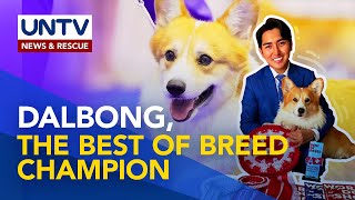 Kilalanin ang Best of Breed champion sa World Dog Show 2023 na si Dalbong  Pet Talk [upl. by Eldrida862]