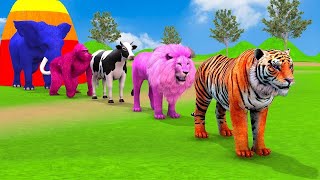 Long Slide Game With Elephant Gorilla Buffalo Hippopotamus Tiger  3d Animal Game  Funny 3d Animals [upl. by Cottrell]