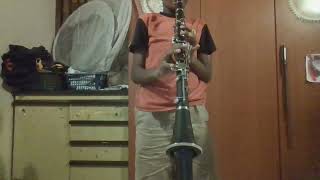 Playing songs in my Maxtone Clarinet [upl. by Oicnerolf704]