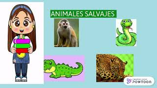 ANIMALES DOMESTICOS Y ANIMALES SALVAJES [upl. by Livvyy]