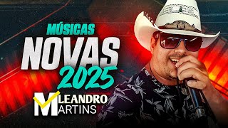 Leandro Martins Xotão 2025 Musicas Novas 2025  06 [upl. by Wellesley]