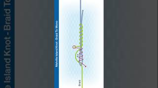 Shorts Braid to mono How to Tie The Melville Knot [upl. by Allemac258]