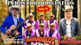 GUITARRAS DE LA SIERRA Y DUETO LOS ARMADILLOS Y LOS ARMADILLOS DE LA SIERRA  RANCHERAS MIX 2024 [upl. by Defant701]