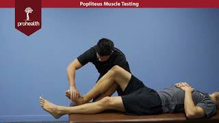 Popliteus Muscle Test Palp Dr Nikita Vizniak Muscle Manual [upl. by Andros598]