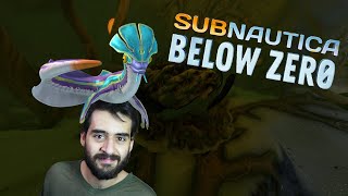 The pack rats of the ocean l Subnautica Below Zero Part 3 [upl. by Fulmis]