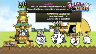 Battle Cats lv 120 King WGamatoto lv 60 Shrine Platinum Hercules amp Gold Catfruit [upl. by Glynda]