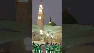 Madinah Live  Mash allah [upl. by Leahcimsemaj]