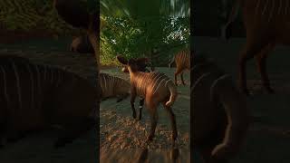 Baby bongos are the cutest planetzoo planetzoogameplay bongo [upl. by Leahcimed]