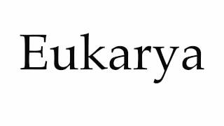 How to Pronounce Eukarya [upl. by Adnovad]