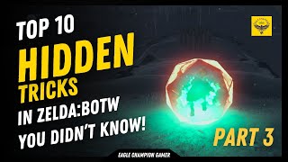 Top 10 Hidden Tricks in Zelda BOTW  Part 3 Infinite Rupees and Master Shield Surfing [upl. by Bradford]