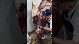 beef Deboning 🐄🐃🔪 hindquarteramp forequarter 🍖 beef [upl. by Haily]