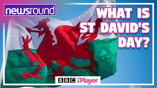 What is St Davids Day 🏴󠁧󠁢󠁷󠁬󠁳󠁿  Newsround [upl. by Idleman]