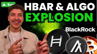 Hedera HBAR Kursexplosion 🚀 RWA Tokenisierung mit BlackRock 🤝 Algorand ALGO zieht nach Analyse [upl. by Tnarud870]