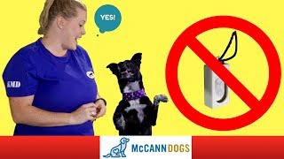 Clicker Training Without A Clicker  Professional Dog Training Tips [upl. by Milman]