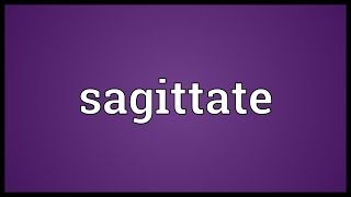 Sagittate Meaning [upl. by Wolfe]