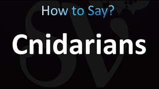 How to Pronounce Cnidarians correctly [upl. by Heins325]