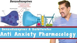 Anti Anxiety Pharmacology Benzodiazepines and Barbiturates [upl. by Aicat687]