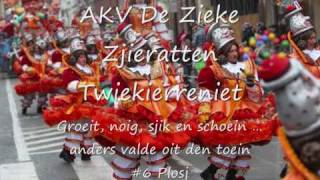 Zieke Zjieratten Stoet 2010  STOETLIED REMIX [upl. by Emelin]