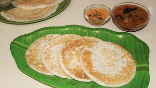 തട്ടുദോശ  നാടൻ ദോശ  സാദാ ദോശ  Perfect Dosa Batter Recipe  Dosa Recipe  Set Dosa Pachakalokam [upl. by Eitsrik]