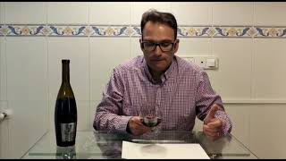 Videocata La Estacada Syrah Merlot 2016 [upl. by Ateekram]