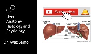 Liver in UrduHindi [upl. by Icyak]