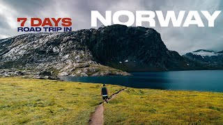 Road trip INCREDIBILE tra i Fiordi Norvegesi  weekly road trip vlog [upl. by Knutson395]