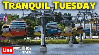 🔴Live Tranquil Tuesday Skyliner Resort Hopping  91024  Walt Disney World Live Stream [upl. by Avron]