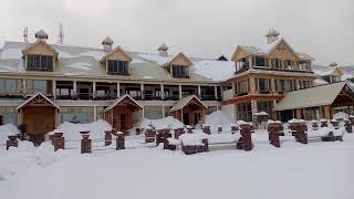 Cedar wood Resort Shogran  Best Hotel in Shogran  Shogran Valley Today  Latest updates [upl. by Mixam783]