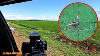 FX IMPACT M3 Cacería de 🦆 PATOS 🦆 Finalizando la Temporada 2020 PCP 22 djrhunting [upl. by Enitsej]