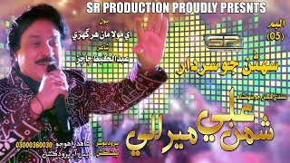 Ee mola maan har ghari  Shaman Ali Mirali sr production 2018 [upl. by Livvie453]