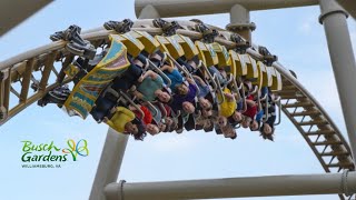 Pantheon  Intense Launch Coaster POV at Busch Gardens Williamsburg [upl. by Yatnuahs]