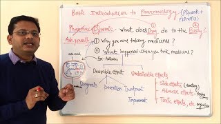 Pharmacokinetic and Pharmacodynamic  General Pharmacology  General Pharmacology  ADME Concepts [upl. by Rebmeced411]