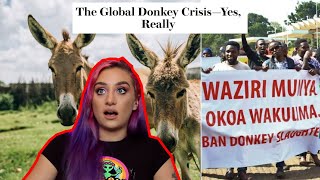 The Global Donkey Crisis [upl. by Lavinie]