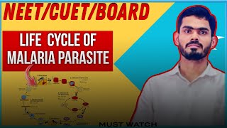 The Deadly Journey Malaria Parasite Life CycleNEETCUETBOARD [upl. by Ayahsal648]