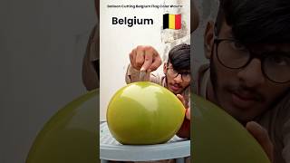 Belgium 🇧🇪 Flag Color Balloon Cutting asmr relaxing [upl. by Rramo725]