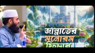 জান্নাতের মনোরম ফিচার ⁝ মিজানুর রহমান আজহারি [upl. by Novoj]