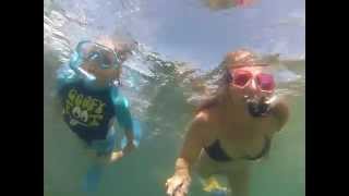 Taking kids snorkeling in La Jolla with sea lions [upl. by Erin]