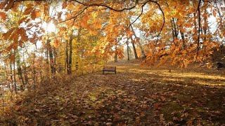 Ashfield lake on an Autumn Morning [upl. by Odnolor]