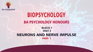 BPCC102 Biopsychology  UNIT  2 Neurons and Nerve Impulse  Part1 IGNOU MALAYALAM [upl. by Garvy]