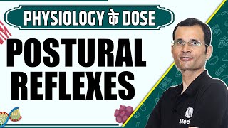 Postural Reflexes  1st Year MBBS  Dr Vivek  Physiology के Dose [upl. by Irene]